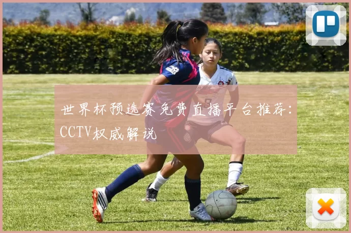 世界杯预选赛免费直播平台推荐：CCTV权威解说