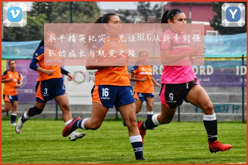 和平精英纪实：见证BLG从新秀到强队的成长与蜕变之路