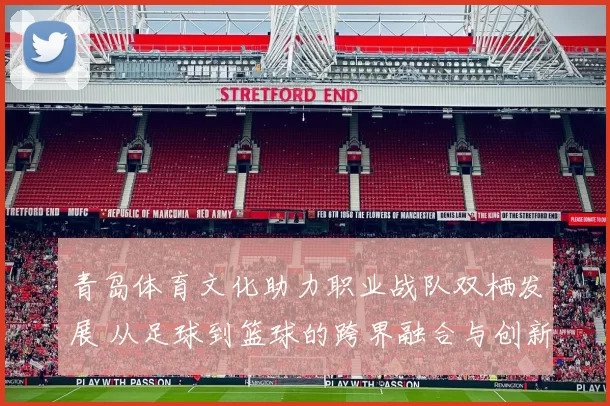 青岛体育文化助力职业战队双栖发展 从足球到篮球的跨界融合与创新路径