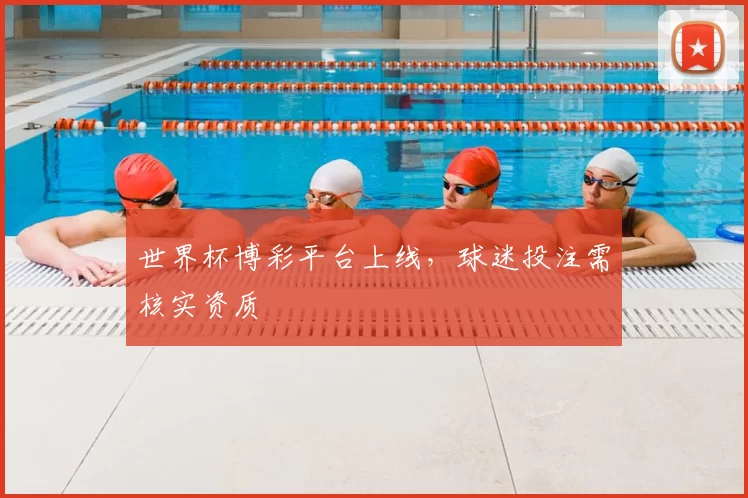 世界杯博彩平台上线,球迷投注需核实资质