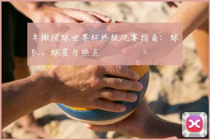 年橄榄球世界杯终极观赛指南：球队、球星与热点