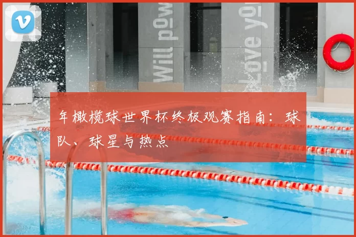年橄榄球世界杯终极观赛指南：球队、球星与热点