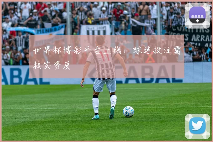 世界杯博彩平台上线,球迷投注需核实资质