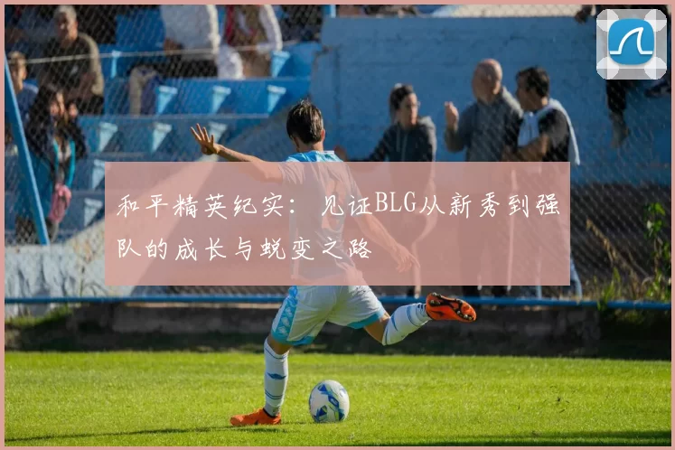 和平精英纪实：见证BLG从新秀到强队的成长与蜕变之路