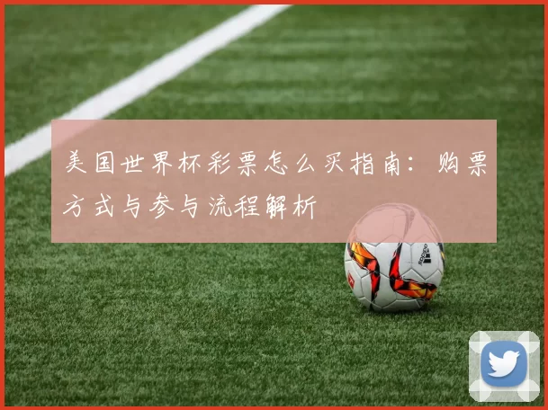 美国世界杯彩票怎么买指南：购票方式与参与流程解析