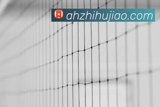 体育赛事直播
